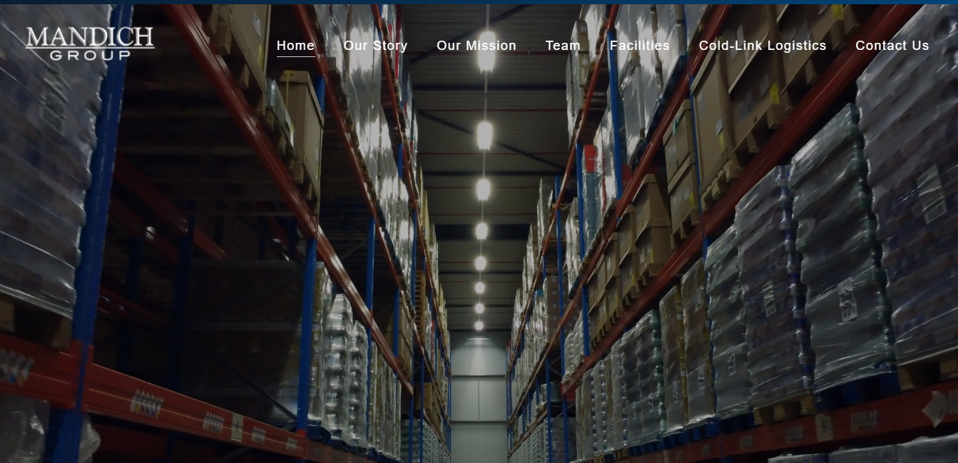 Mandich Group Industrial Website Design