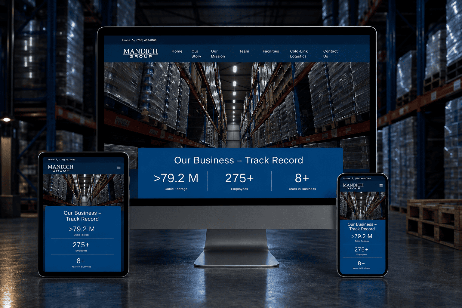 Mandich Group website design